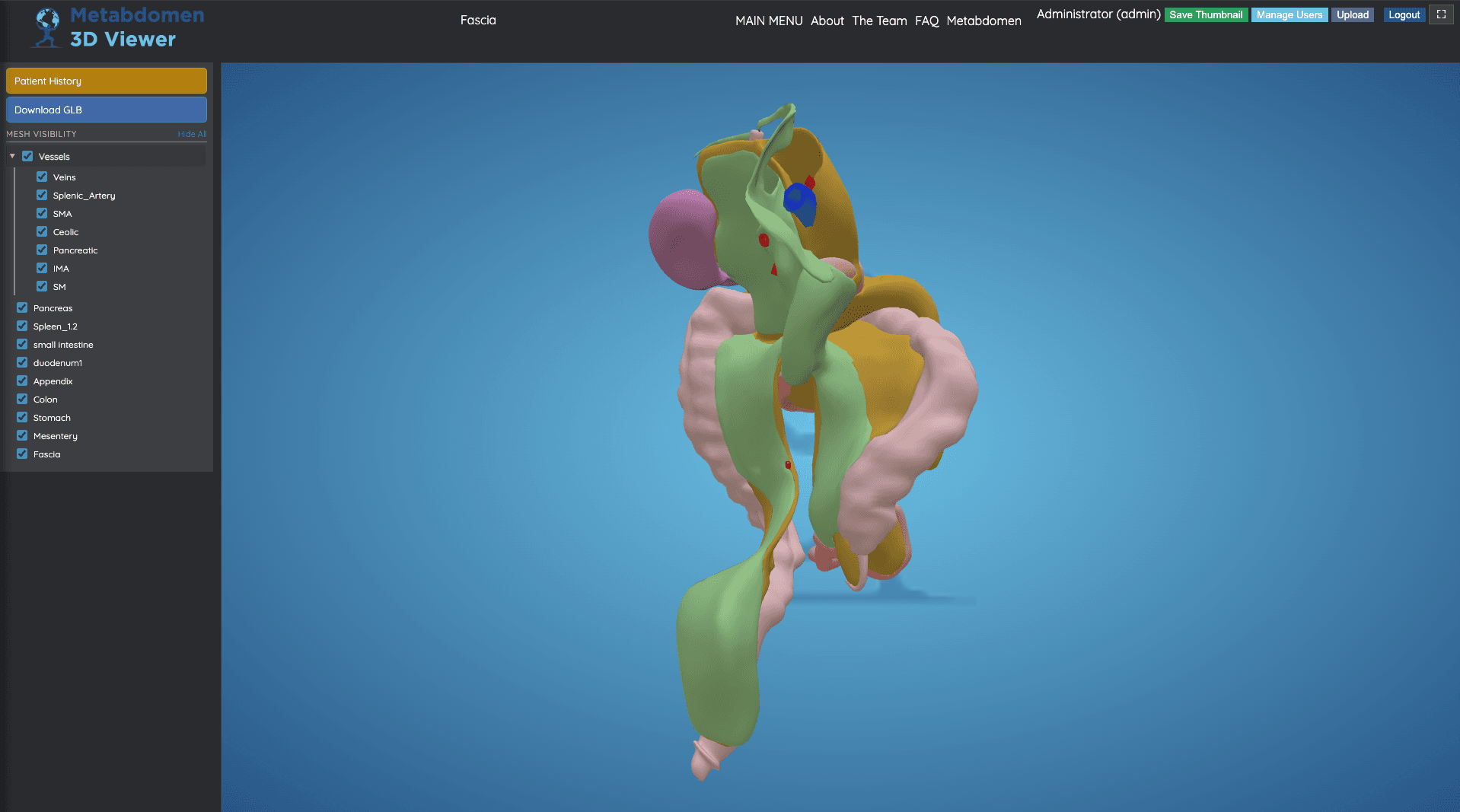 A side view of a coloured anatomical model showing the spatial relationships between abdominal structures, with visibility controls alongside.